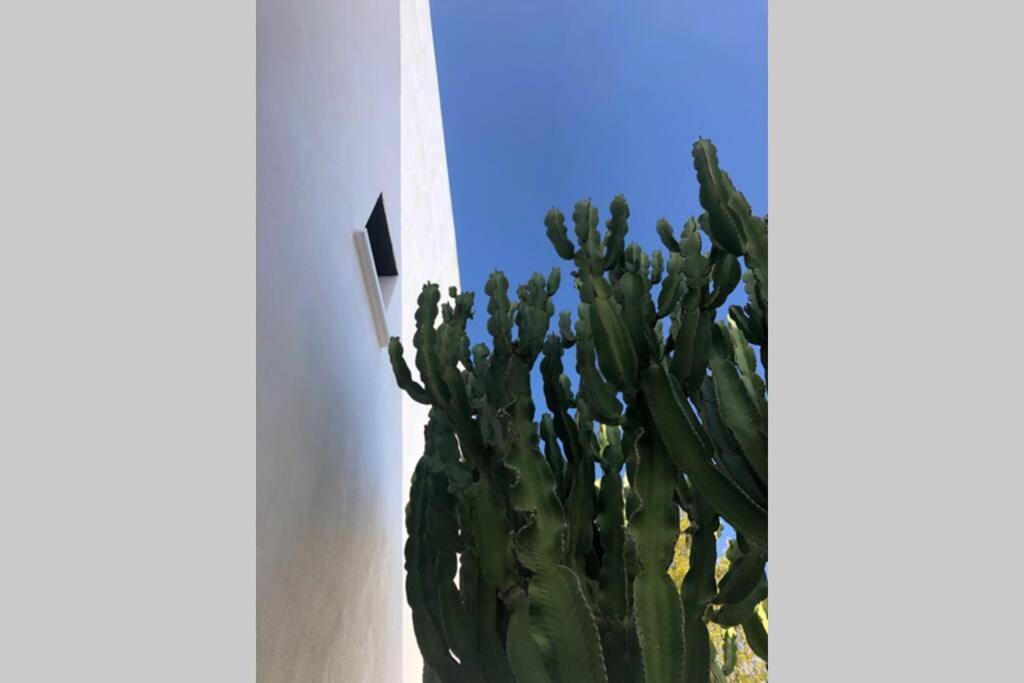 Casa Granado En Cabo De Gata Villa Rodalquilar Exterior photo